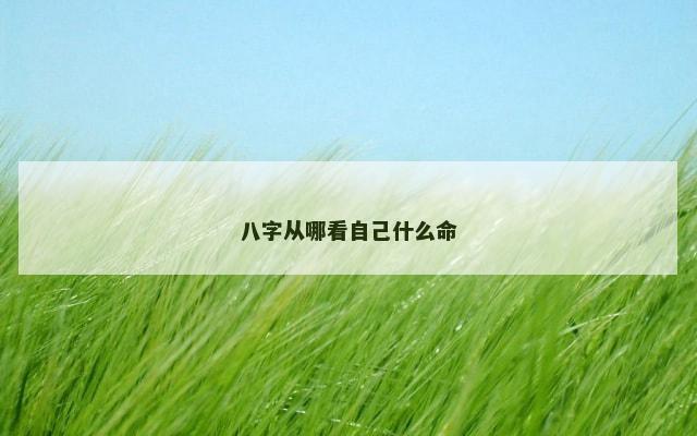 八字从哪看自己什么命