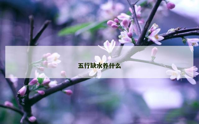 五行缺水养什么