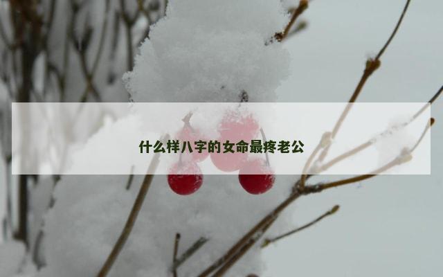 什么样八字的女命最疼老公