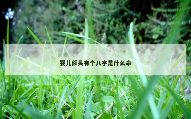 婴儿额头有个八字是什么命