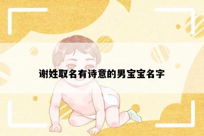 谢姓取名有诗意的男宝宝名字