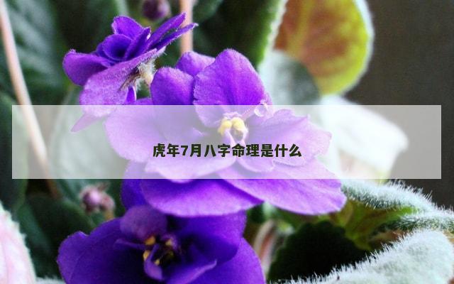 虎年7月八字命理是什么