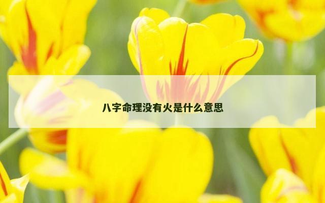 八字命理没有火是什么意思