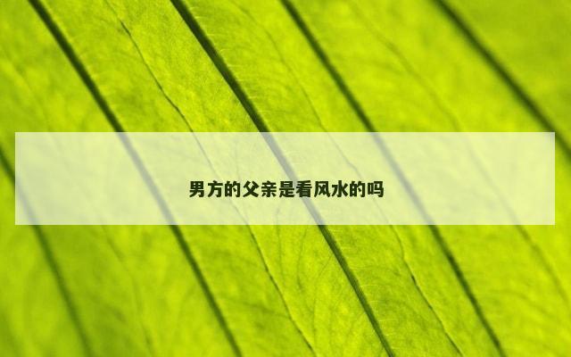 男方的父亲是看风水的吗
