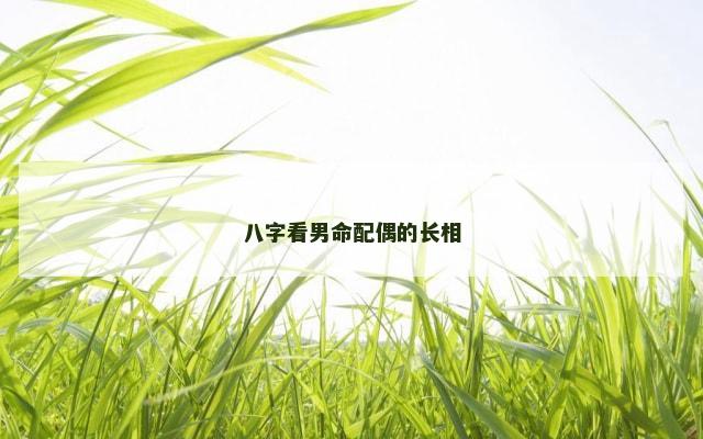 八字看男命配偶的长相