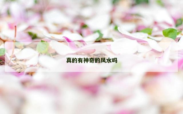 真的有神奇的风水吗