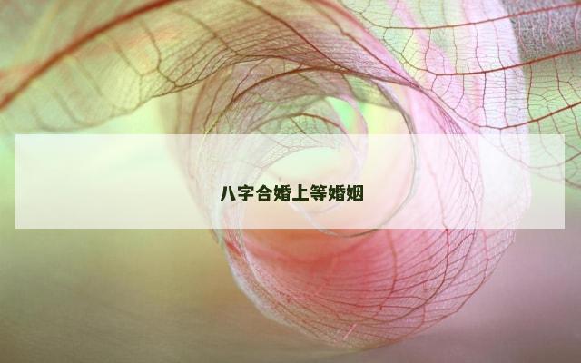 八字合婚上等婚姻