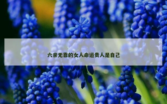 六亲无靠的女人命运贵人是自己