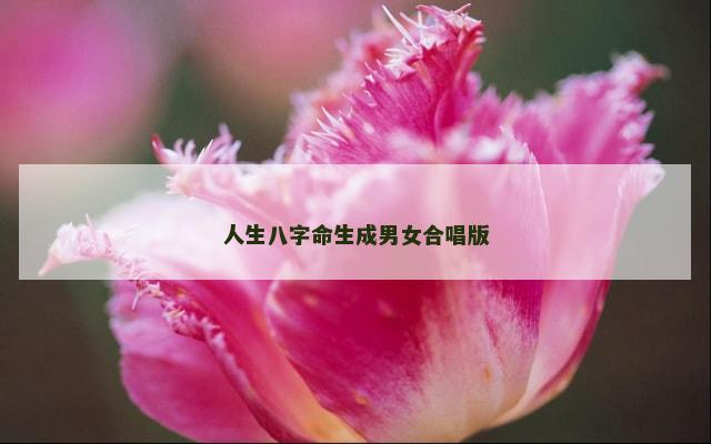 人生八字命生成男女合唱版