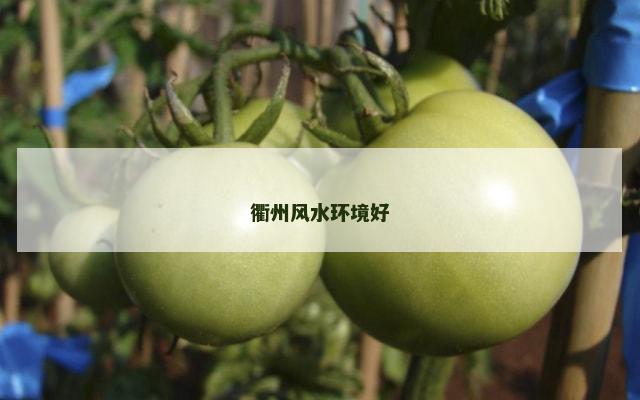衢州风水环境好