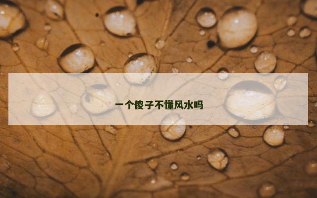 一个傻子不懂风水吗