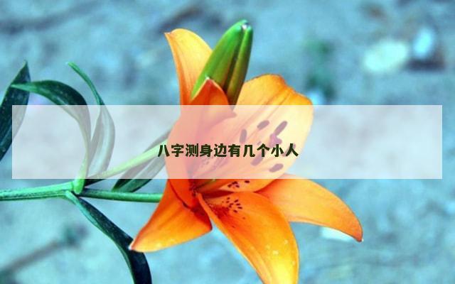 八字测身边有几个小人