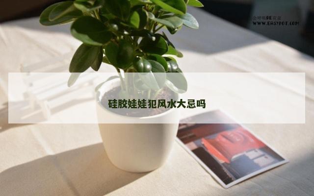 硅胶娃娃犯风水大忌吗