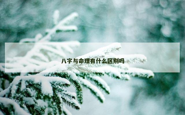 八字与命理有什么区别吗