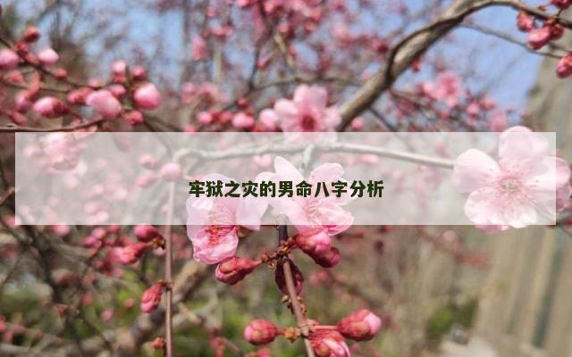 牢狱之灾的男命八字分析