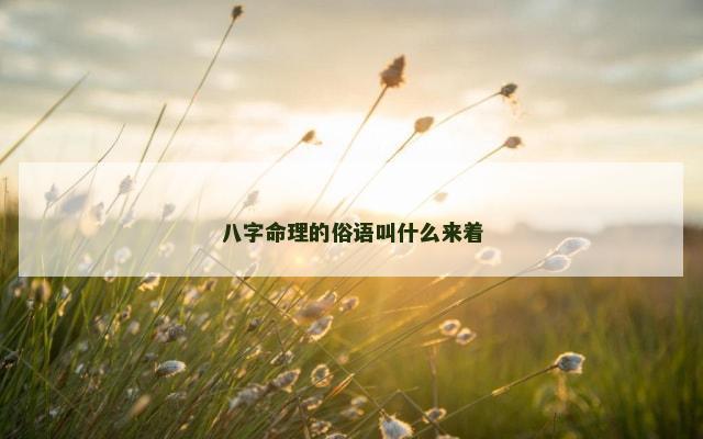 八字命理的俗语叫什么来着