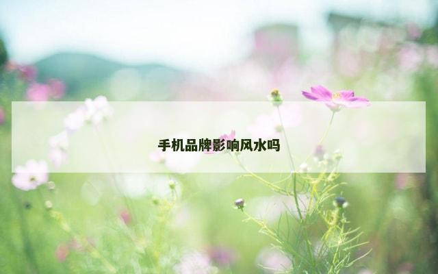手机品牌影响风水吗