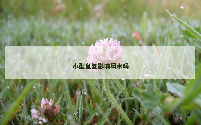 小型鱼缸影响风水吗