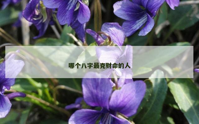哪个八字最克财命的人
