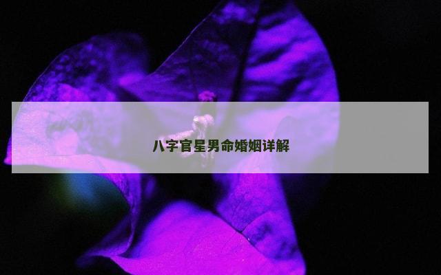 八字官星男命婚姻详解