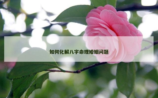 如何化解八字命理婚姻问题