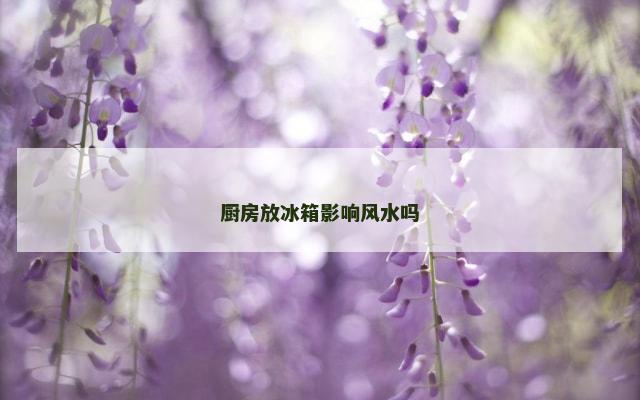 厨房放冰箱影响风水吗