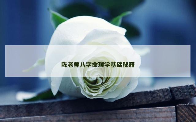 陈老师八字命理学基础秘籍