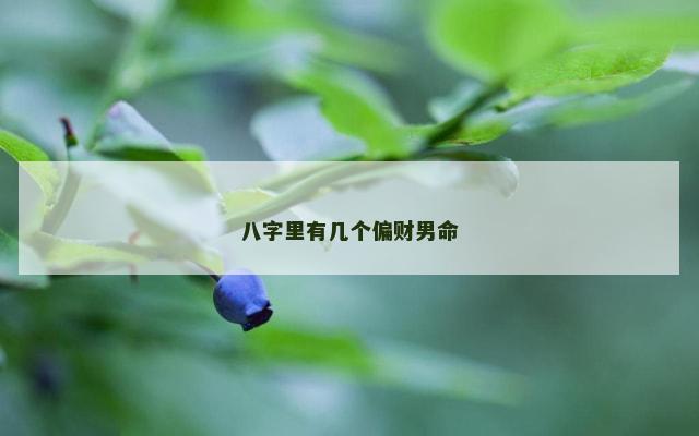 八字里有几个偏财男命