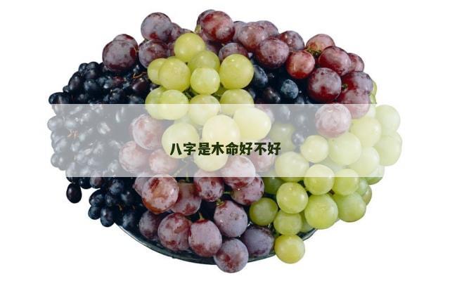 八字是木命好不好