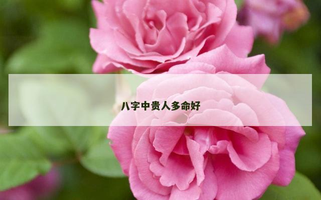 八字中贵人多命好