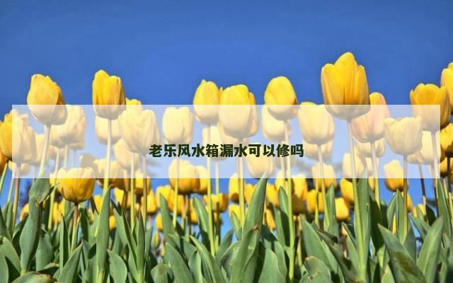 老乐风水箱漏水可以修吗