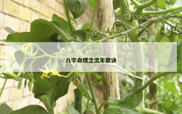 八字命理之流年歌诀