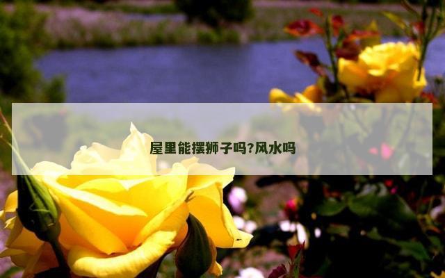屋里能摆狮子吗?风水吗