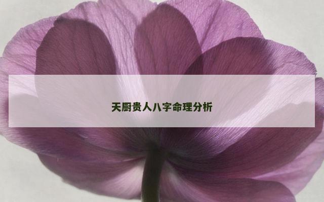 天厨贵人八字命理分析