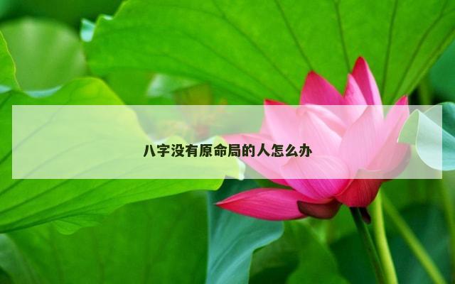 八字没有原命局的人怎么办