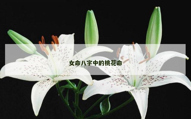 女命八字中的桃花命