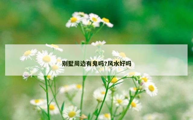 别墅周边有鬼吗?风水好吗