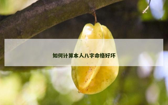 如何计算本人八字命格好坏