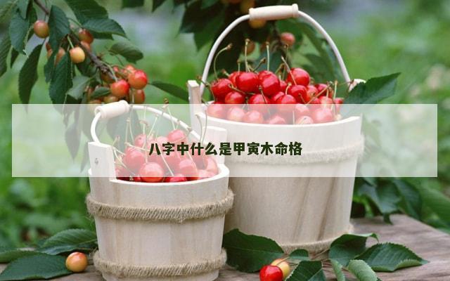 八字中什么是甲寅木命格