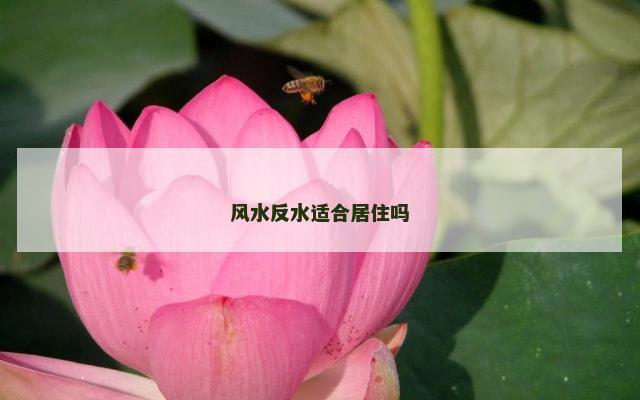 风水反水适合居住吗