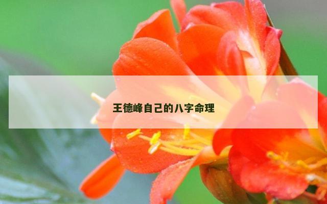 王德峰自己的八字命理