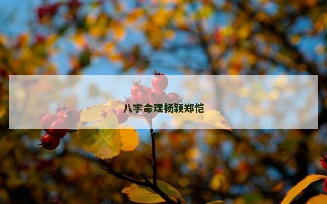八字命理杨颖郑恺