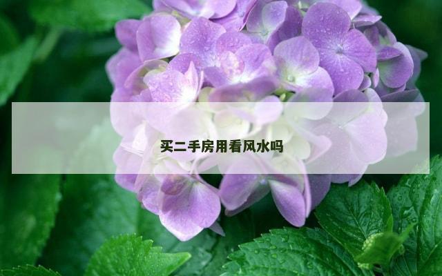 买二手房用看风水吗