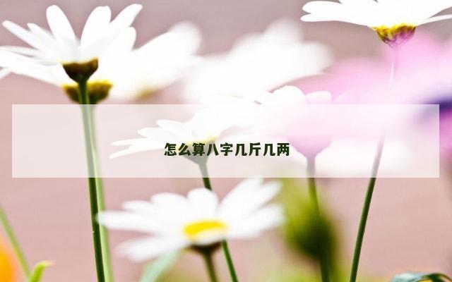 怎么算八字几斤几两