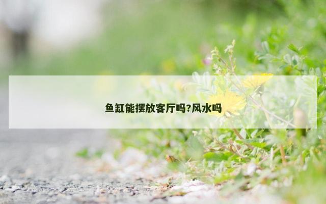 鱼缸能摆放客厅吗?风水吗
