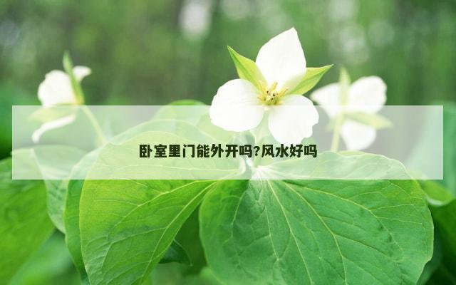 卧室里门能外开吗?风水好吗