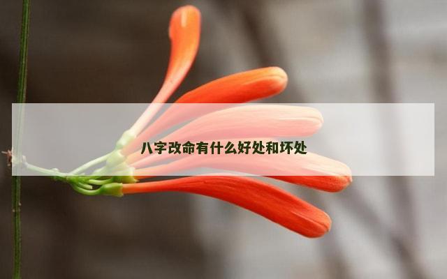 八字改命有什么好处和坏处