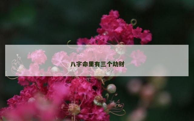 八字命里有三个劫财