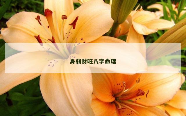 身弱财旺八字命理