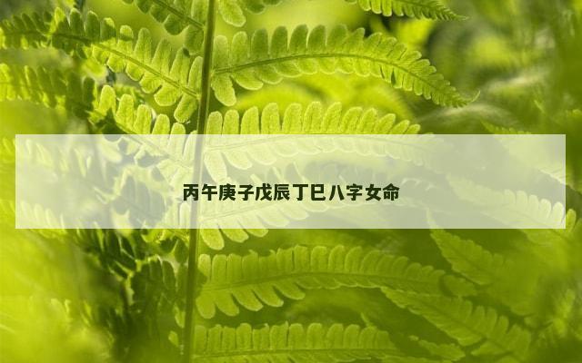 丙午庚子戊辰丁巳八字女命